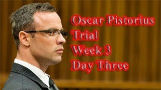 Oscar Pistorius Trial Wednesday 19 March 2014 Session 2 [upl. by Janine335]