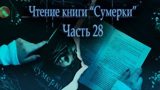 АСМР Чтение книги Сумерки часть 28 ASMR reading The Twilight Saga  rain sounds Little Dragon ASMR [upl. by Loram]