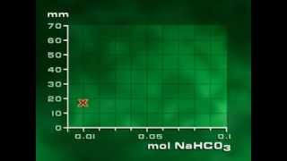 Photosynthesis in Elodea [upl. by Schulein358]