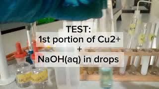 Qualitative Analysis of Cations Salt Analysis [upl. by Ysnat598]