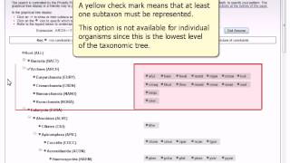 The OrthoMCL Phyletic Pattern Search [upl. by Lay105]