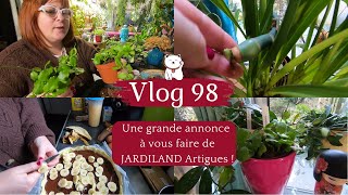 VLOG 98🌿Une grande annonce de JARDILAND ARTIGUES 🌿 Update des boutures de la cuisine  Tarte 🍫🍌😉 [upl. by Lamori]