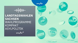 Asylpolitik – Das planen Sachsens Parteien  Podcast Wahlprogramme kompakt  MDR [upl. by Aiekam]