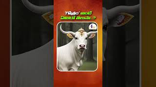 గోత్రం అంటే ఏమిటి Gothram Ante Emiti  Gothram Meaning in Telugu  ATV DEVOTIONAL [upl. by Goldi]