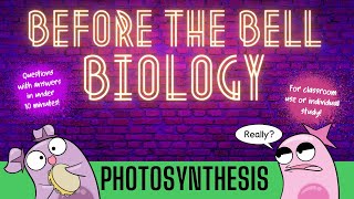 Photosynthesis Before the Bell Biology [upl. by Oatis]