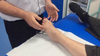 How to check for the dorsalis pedis amp anterior tibial pulse with a Doppler [upl. by Tteve]