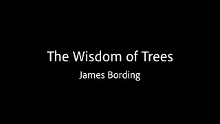 The Wisdom of Trees  James Bording [upl. by Dorise356]