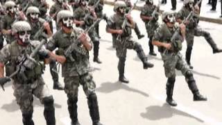 DESFILE MILITAR 2014 PARTE 3 [upl. by Idnaj]