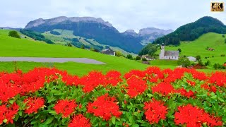 Heavenly Swiss Countryside of Appenzell Switzerland 🇨🇭  swiss [upl. by Eatnwahs]