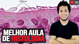 Tecido Epitelial e Conjuntivo  A AULA MAIS COMPLETA DE HISTOLOGIA DO YOUTUBE [upl. by Fauman]