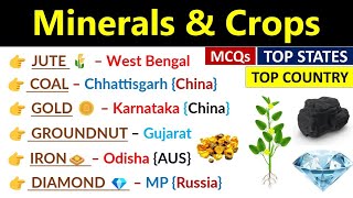 Top Minerals And Crops Producing State In India  Top Countries  खनिज और फसल उत्पादक 2023 [upl. by Charisse]