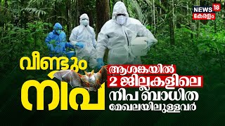 വീണ്ടും Nipah Virus സാന്നിധ്യം ആശങ്കയിൽ 2 ജില്ലകളിലെ നിപ ബാധിത മേഖലയിലുള്ളവർ  Nipah Alert  N18V [upl. by Anilatsyrc]