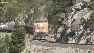 4K Freight Trains on the Feather River Canyon August 2023 [upl. by Blackmore]