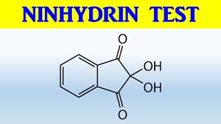 NINHYDRIN TEST [upl. by Hsatan216]