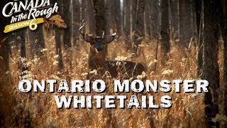 Ontario Monster Whitetails  Web Exclusive Mature Deer Hunt [upl. by Eninnaej]