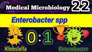 Enterobacter and Klebsiella Similarities and differences شرح بالعربي E cloacae E aerogenes [upl. by Tteltrab]