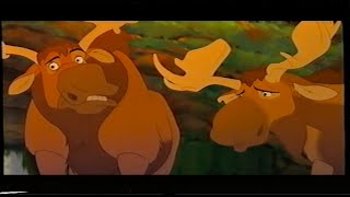 Brother Bear Tuke Says Uhhuh amp Sneezing 2003 VHS Capture [upl. by Sydalg]