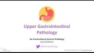 Upper Gastrointestinal GI Pathology  Introduction to Systemic Pathology [upl. by Isoj]