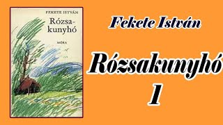 Fekete István  Rózsakunyhó 1 [upl. by Ahseikram]