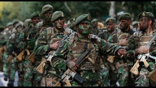 DESFILE MILITAR DO DIA DE PORTUGAL 2019 [upl. by Acimot]