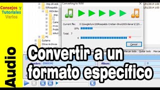 Cómo convertir una gran cantidad de audios a un formato específico [upl. by Aisayn154]