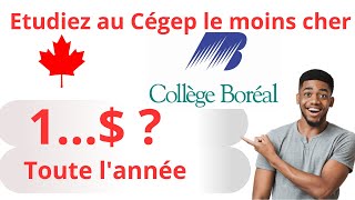 Etudiez au collège le moins cher en Français en Ontario en 2024  Immigration Canada CIC [upl. by Haisa105]