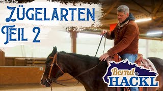 Zügel am Pferd – verschiedene Zügelarten Teil 2  Bernd Hackl erklärt 🐴 [upl. by Onaimad]