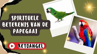 Spirituele Betekenis van de Papegaai Symboliek en Inzichten [upl. by Anaud27]