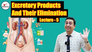 Excretory Products amp Their Elimination l Lecture 5 l Biology l NEET [upl. by Fedirko]