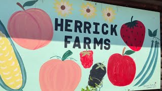 Visiting Herrick Farms in Eugene Oregon [upl. by Luanni773]