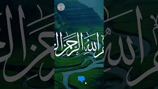 Surah Ikhlas  surahikhlas quran recitation tiktok viral shorts surah qurantilawat tilawat [upl. by Anhej]