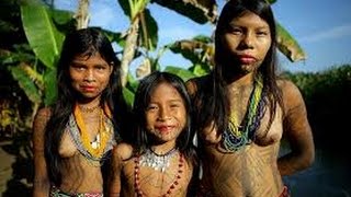 Primitive Tribes Amazon Culture [upl. by Revkah]