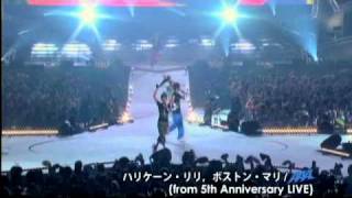 AAA  ハリケーン・リリ ボストン・マリfrom 5th Anniversary Live [upl. by Velma]