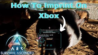 How To Imprint In Ark Survival Ascended On Xbox Console Controller [upl. by Laurita985]