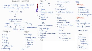 HYPEREMESIS GRAVIDARUM NOTES  OBSTETRICS  ONE PAGE NOTES  4TH PROFF  MBBS  OBGY [upl. by Schrick]