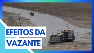 AVANÇO DA VAZANTE SEVERA DO RIO NEGRO CRIA CENÁRIO ALARMANTE [upl. by Gertrudis]