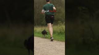 5 REASONS WHY your dog should do CANICROSS 🐕🏃💨 [upl. by Aicirtak]