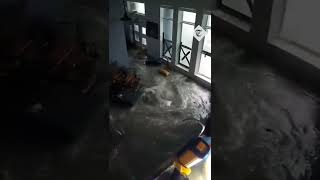 Water floods through windows of Florida home as Hurricane Ian hits [upl. by Daisey]