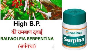 Rauwolfia serpentinaAyurvedic medicine for high bpHimalaya serpina tabletssarpagandha [upl. by Wood]