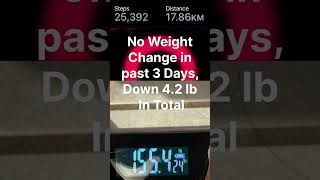 Day 7 of 30 Day Abs Challenge With Walking 15k Steps amp Carnivore rucking carnivorediet walking [upl. by De]