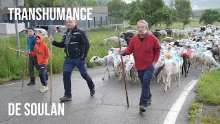 Transhumance de Soulan [upl. by Aiyn]