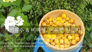 비파주 비파청 비파쨈 만들기How to eat loquat fruit [upl. by Rosse19]