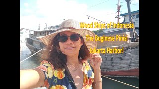 Oldest Wooden Ship Fleet in the World The Buginese Pinisi Jakarta Indinesia [upl. by Aruon]