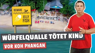 Würfelqualle tötet 9 jährigen im Meer vor Koh Phangan Thailand Samui Urlaub absagen [upl. by Mcneil253]