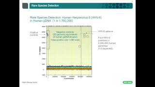 Precise Counting of Targeted Nucleic Acids Has Never Been Easier [upl. by Kinom588]