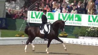 FLYNN PCH amp Hubertus Schmidt Qualifikationsprüfung LouisdorPreis Horses amp Dreams 2014 [upl. by Sanferd442]