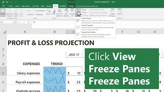 Freeze columns or rows in Microsoft Excel [upl. by Allekim]