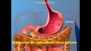 insulina video aula [upl. by Ythomit]