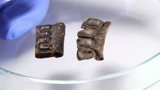 New Study Reveals Tefillin Phylacteries Were Not Colored Black 2000 Years Ago [upl. by Anitnas587]