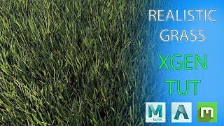 REALISTIC GRASS in MAYA 2019  Megascans  XGEN [upl. by Devehcoy]